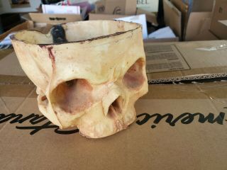 Human Skull Theatrical Film Prop Medical Death Mask Oddity Gothic