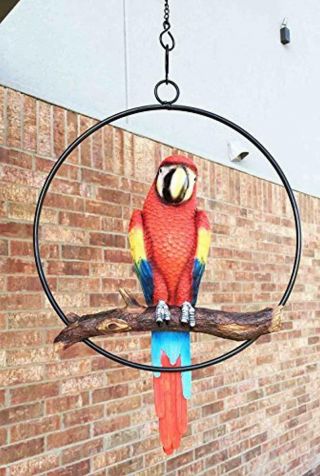 Scarlet Macaw Parrot Perching Hanging Bird Patio Home Garden Porch Yard Outdoor