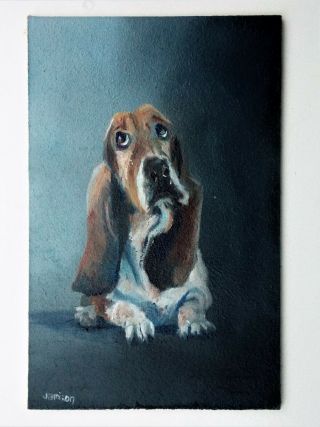 Oil Painting Basset Hound Dog Pup By William Jamison 6 " X 4 " Inches