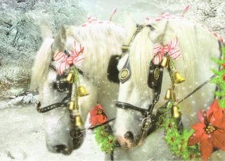 Decorated Percheron Horses Sleigh Bell Snow Scene Box 12 Christmas Cards