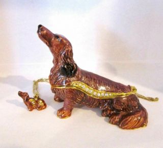 Longhair Brown Dachshund Dog Jeweled Trinket Box W Matching Pendant