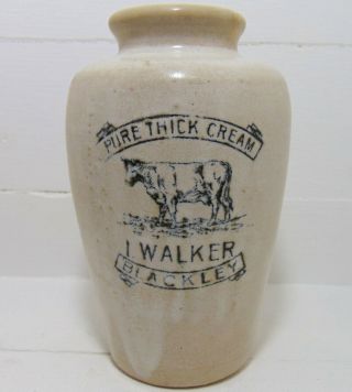 Huge Pure Thick Cream Pot From Walker Of Blackley With Cow Pictorial C1900 