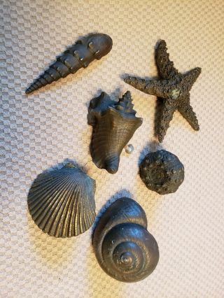 Vintage Heavy Brass Sea Shells Drawer Pull Handles
