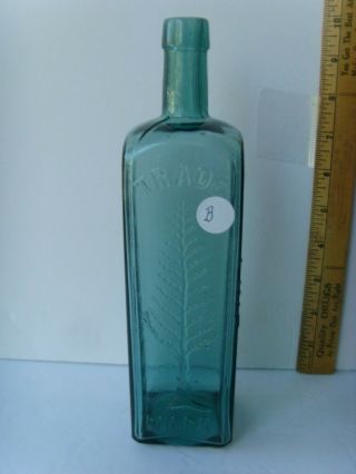 Antq Pine Tree Tar Cordial Phila Rich Blue - Green Medicine Bottle 1870 - 1880 56/b