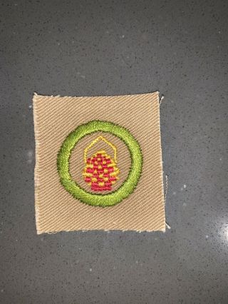 Basketry Square Merit Badge Boy Scout