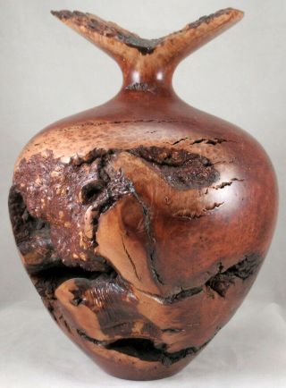 Warren Vienneau Large Turned Burl Wood Rustic Organic Vase Sculpture Signed