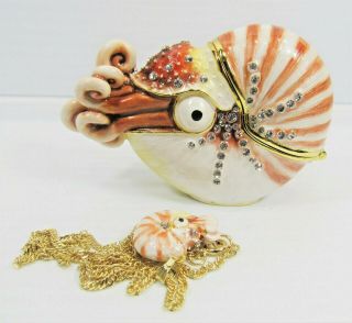 Nautilus Deep Ocean Shelled Mollusks Jeweled Pewter Trinket Box W/necklace