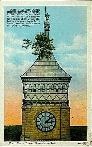 1940 ' s TOWER TREE Greensburg INDIANA dairy HELLMICH milk IND.  bottle CREAMER CAP 3