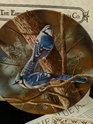 ' The Blue Jay ' Limited Edition Plate by Kevin Daniel,  1985 Bird Lovers Gift 2
