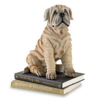 Lifesize Shar Pei Puppy Figurine Dog Deluxe Huge 11 - 1/2 " Tall