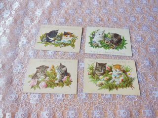 Victorian Christmas/new Year Cards/cats Sitting Amongst Flowers