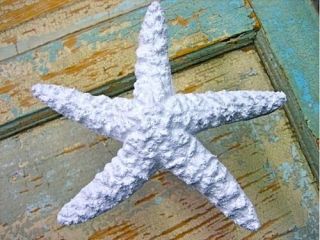 Starfish Curtain Tiebacks Shabby Chic Style Furniture Appliques Onlays Mouldings