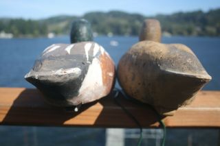 2 - Shoveller Duck decoys by Ron Saylor of Florence,  Oregon,  Worth Mathewson rig. 3