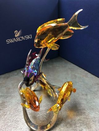 Sea Goldies Topaz Swarovski Crystal Mib Box & 1083778 Retail $910
