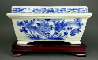 Fine Old Chinese Blue & White Porcelain Phoenix Bird Planter Jardiniere W/ Stand
