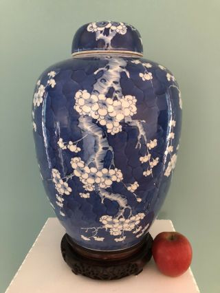 Very Large Chinese Porcelain Antique 19th - C Blue And White Prunus Vase/jar
