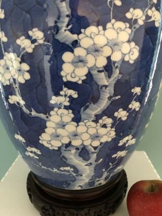 Very Large Chinese Porcelain Antique 19th - C Blue And White Prunus Vase/Jar 2