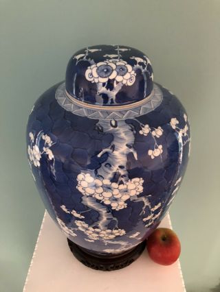 Very Large Chinese Porcelain Antique 19th - C Blue And White Prunus Vase/Jar 3