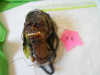 Voodoo Doll Shrunken Head 8 Shaman Skull Sideshow Gaff Halloween Pirate Oddity
