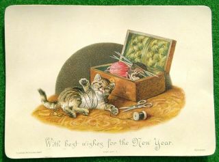 Victorian Card Tabby Kitten Cat Playing With Sewing Thread Hildesheimer & Faulkn