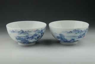 A Pair Chinese Antique Blue And White Porcelain Bowls