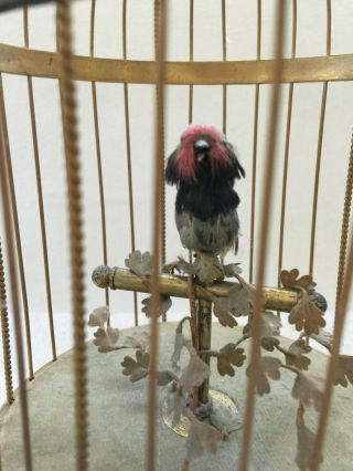 VINTAGE SINGING BIRD CAGE,  MADE IN FRANCE BY BONTEMS,  CIRCA 1955 2