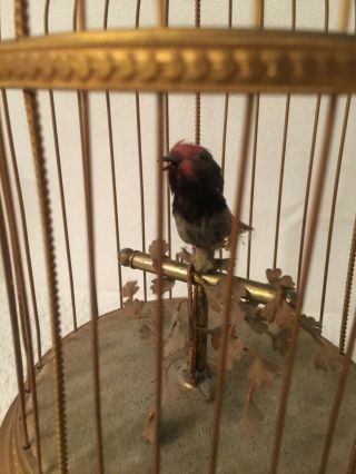 VINTAGE SINGING BIRD CAGE,  MADE IN FRANCE BY BONTEMS,  CIRCA 1955 3