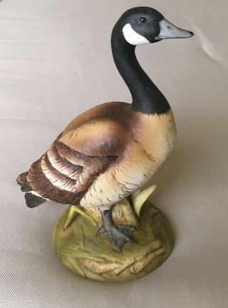 Canada Goose Figurine By Andrea By Sadek 6721 Hand Painted Ceramic Porcelain Fig