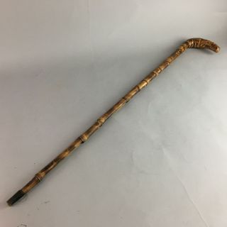 Japanese Walking Stick Vtg Bamboo Cane Wood Tree Strong Lighweight 87cm Ws5