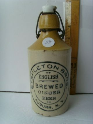 Antique “auburn,  N.  Y.  ” Pottery Ginger Beer Bottle 6¾” 1880 - 1900 58/57