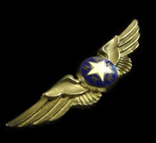 Post Wwii Us National Association Of Air Force Women Naafw Wing Badge - Sterling