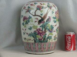 Large 19th C Chinese Porcelain Nyonya Straits Famille Rose Birds Jar