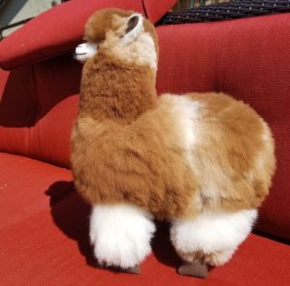 Alpaca Fur (big) Llama Stuffed Made In Perú (17 " X 13 ") Photograph