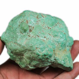 1513.  8ct 100 Natural Untreated Sleeping Beauty Turquois Rough Specimen Myst952