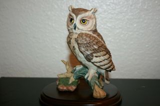 Maruri Usa 1988 Eyes Of The Night Screech Owl Fine Porcelain Studio Design 8801