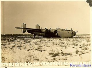 Org.  Photo: Crash Landed B - 24 Bomber (42 - 100045) In Winter Field; 1945 (1)