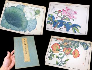 Kose Shoseki Woodblock Print Flower Picture Book 19c Japane Origin Meiji Antique