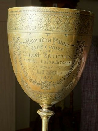 Flat Coated Retriever - Prize Cup 1878 - Kennel Club - Lyon Of Tutbury Staffs