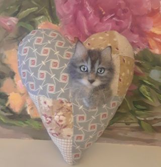 Cat/kitten On Antique Quilt Cupboard Heart Pillow Ooak Fabric Art By Renate 