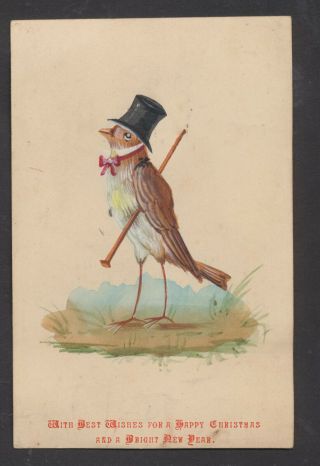 C10518 Victorian Hand Painted Xmas Card: Bird In Hat 1871