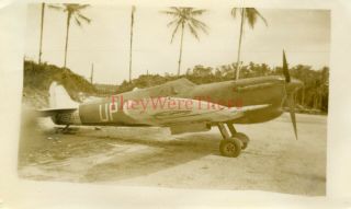 Wwii Photo - P 40 Warhawk Fighter Plane Parked On Airfield - No.  458216