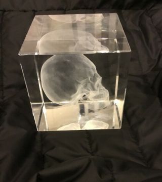 Ralph Lauren Home Rl Ayers Skull Crystal Paperweight Desk Object Anatomical