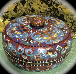 Stunning Large 9 Inch Diam Antique Chinese Cloisonne Lidded Phoenix Pot / Bowl