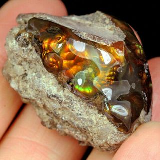 84.  3ct 100 Natural Mexican Multi - Colored Fire Agate Facet Rough Yfm1872