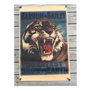 Vintage Barnum And Bailey Circus Poster Siberian Tiger Large 33x24 P4 1916