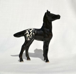 Tr Qh Black Blanket Appaloosa Quarter Horse Foal Filly Ceramic China Figurine