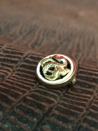 Vintage Sigma Nu ΣΝ Fraternity Snake Pledge Pin Lapel Pin JB2 3