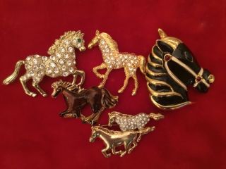 Set 5 Horse Fashion Jewelry Swarovski Elements Pin Brooch Horse Horse Usa