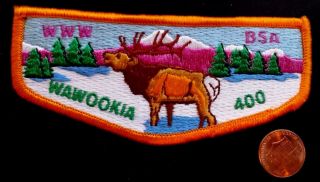Merged Oa Wawookia Lodge 400 Bsa Lewis - Clark Council Id 311 Patch Elk Flap Cool
