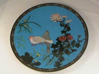 Antique Japanese Meiji Cloisonne Charger Plate W Birds And Flowers Big 12 " L@@k